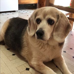 Meet your Posher, Thiana